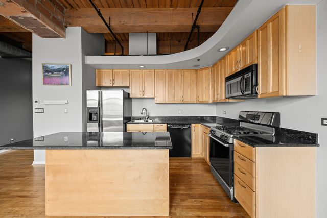 2310 S Canal Street 215, Chicago, IL 60616