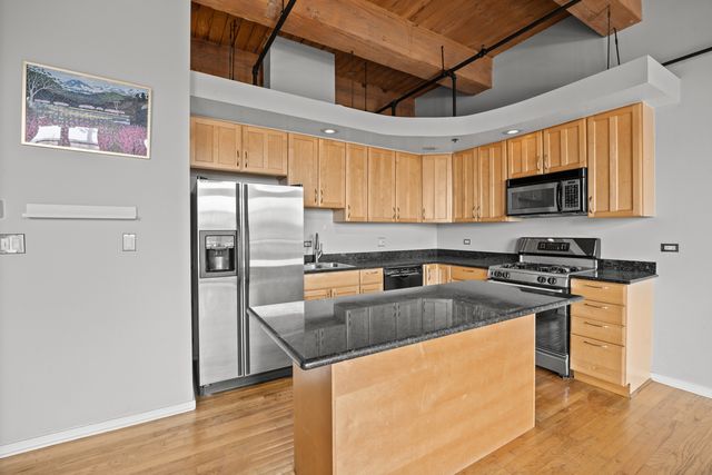 2310 S Canal Street 215, Chicago, IL 60616
