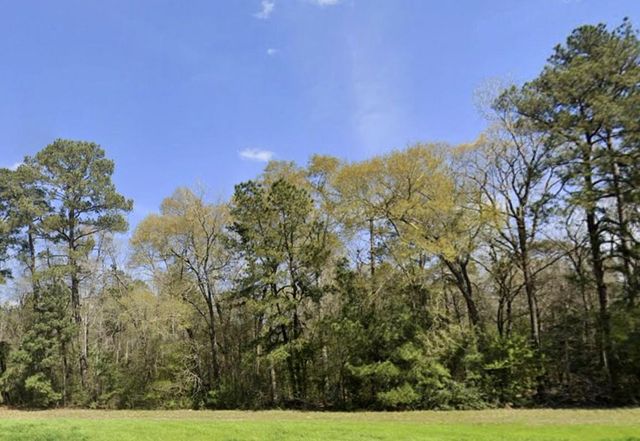115 Bunkhouse Road, New Waverly, TX 77358