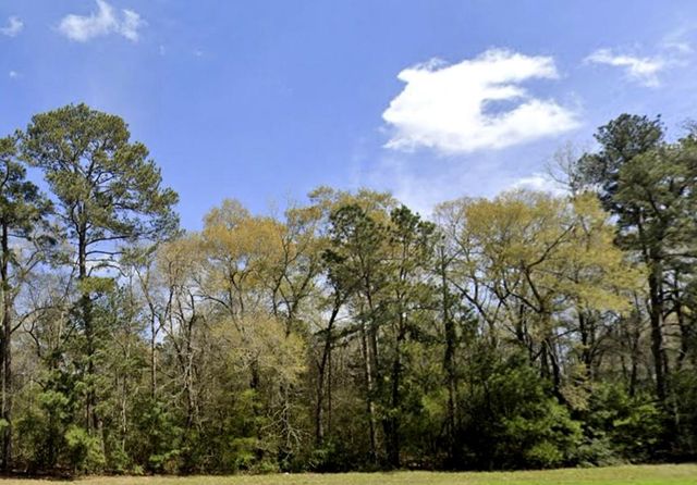 115 Bunkhouse Road, New Waverly, TX 77358