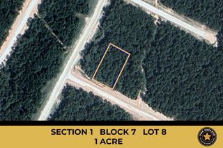 115 Bunkhouse Road, New Waverly, TX 77358