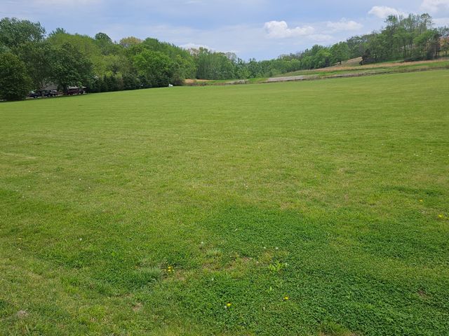 6629 Arno College Grove Rd, College Grove, TN 37046