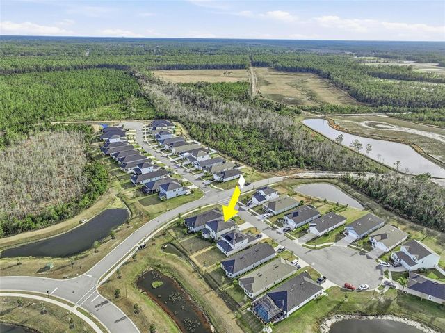 132 NIGHTHAWK LANE, Palm Coast, FL 32164