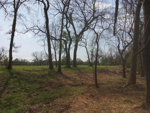 Lot 1 Fm 521, Angleton, TX 77515