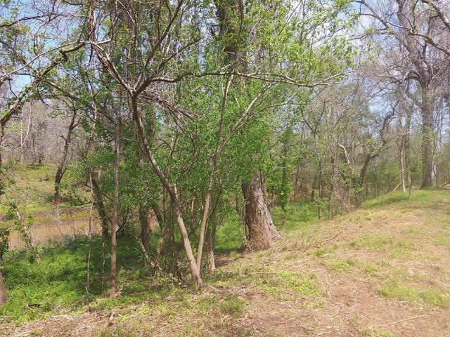 Lot 1 Fm 521, Angleton, TX 77515