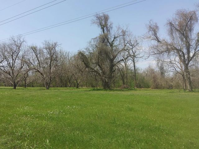 Lot 1 Fm 521, Angleton, TX 77515