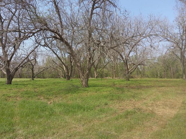 Lot 1 Fm 521, Angleton, TX 77515