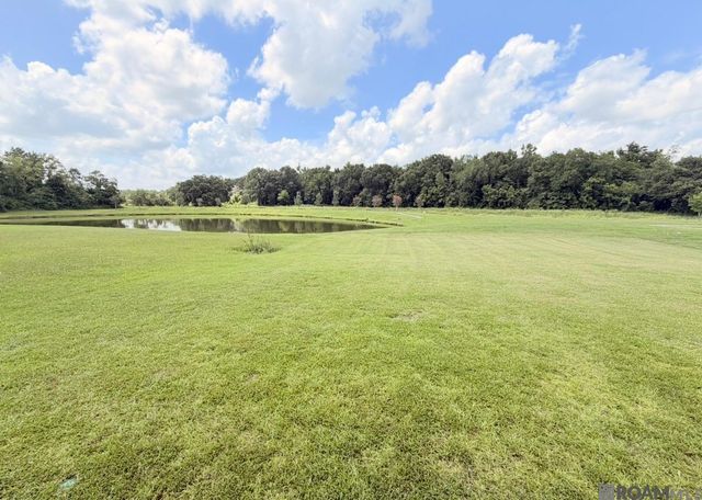 38510 Maidens Blush St, Gonzales, LA 70737