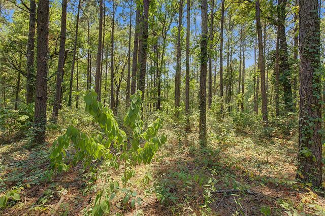 293 Robinson Creek Road A, Huntsville, TX 77340