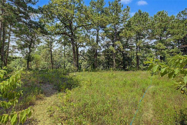 293 Robinson Creek Road A, Huntsville, TX 77340