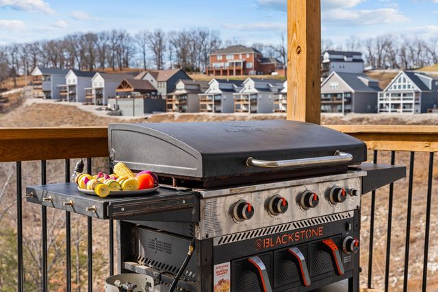 105 Chateau Mountain Drive, Branson, MO 65616