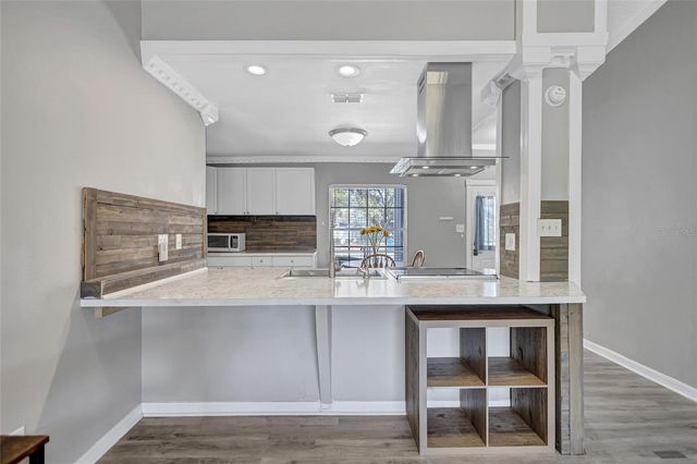 1735 LAKEVIEW VILLAGE DRIVE, Brandon, FL 33510