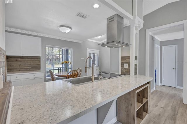 1735 LAKEVIEW VILLAGE DRIVE, Brandon, FL 33510