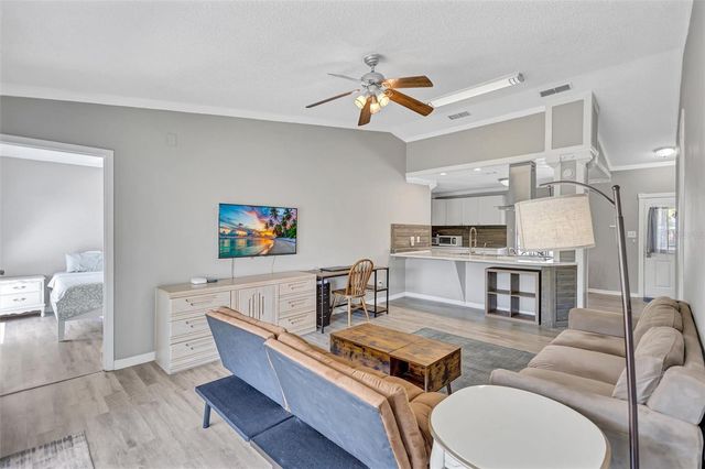 1735 LAKEVIEW VILLAGE DRIVE, Brandon, FL 33510