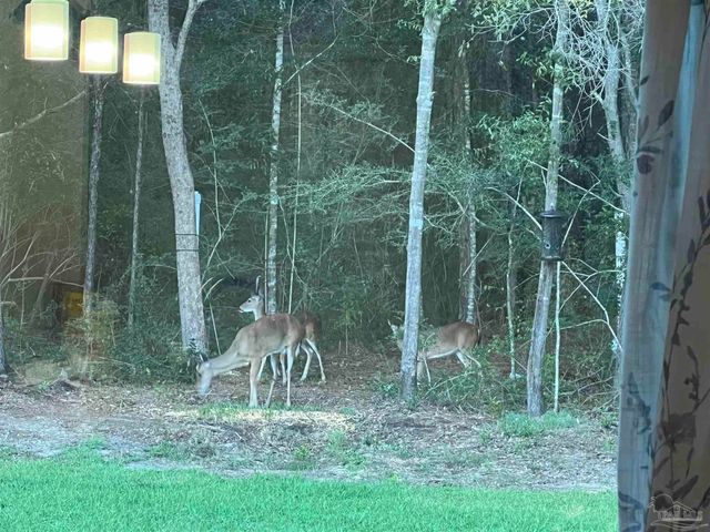 6782 Beaudry Ln, Milton, FL 32570