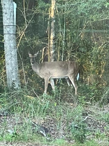 6782 Beaudry Ln, Milton, FL 32570