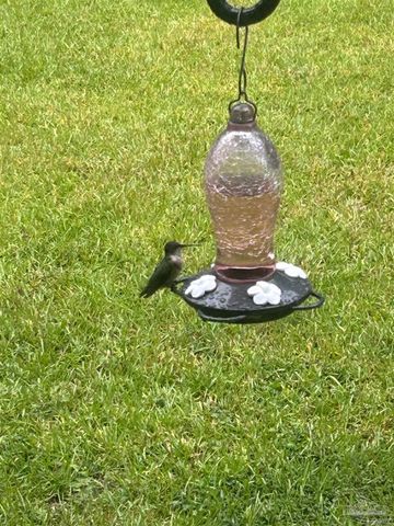 6782 Beaudry Ln, Milton, FL 32570