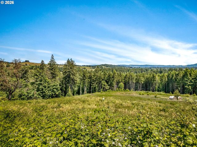 19775 Ne TRUNK Rd, Dundee, OR 97115