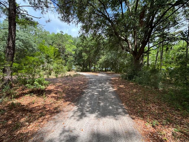 536 Two Mile Run, Johns Island, SC 29455