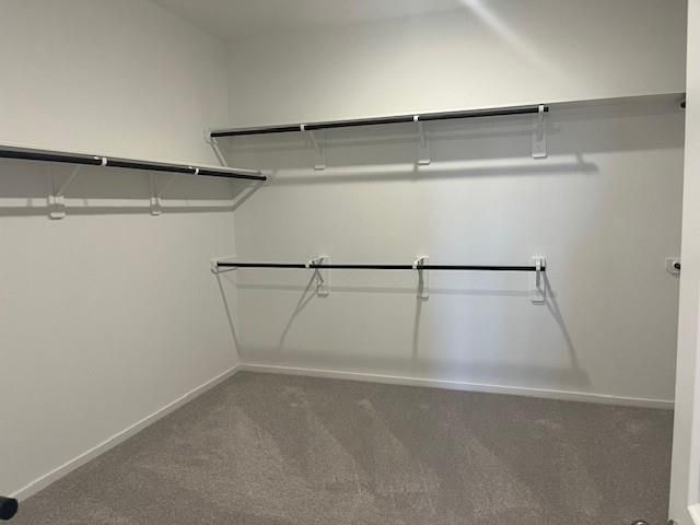 2624 Pine Bluff Drive, Rosenberg, TX 77469