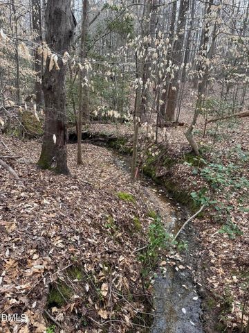 0 Old Us Hwy 64, Spring Hope, NC 27882