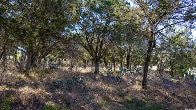 00 Park Lane, Garden Ridge, TX 78266