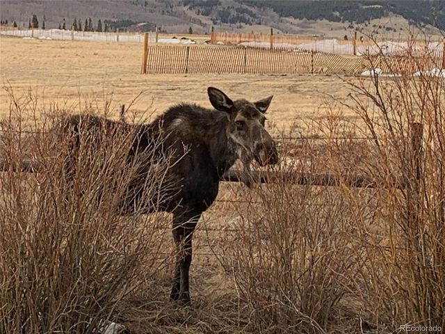 1793 Michigan Hill Rd, Jefferson, CO 80456