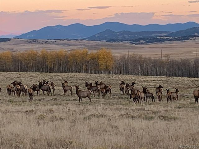 1793 Michigan Hill Rd, Jefferson, CO 80456