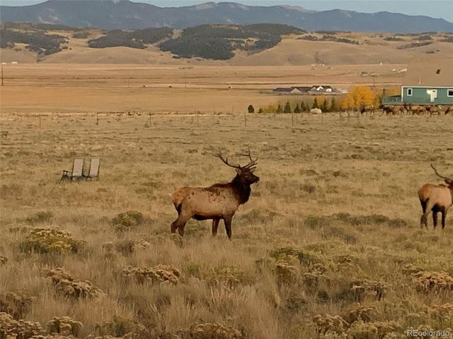 1793 Michigan Hill Rd, Jefferson, CO 80456