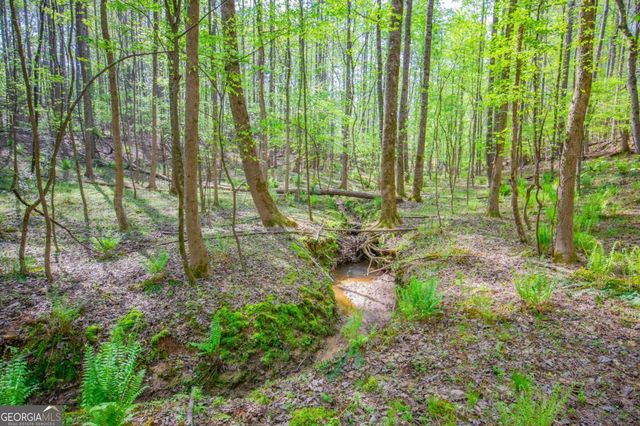 0 Lake Esther Drive LOT 2, Fairburn, GA 30213