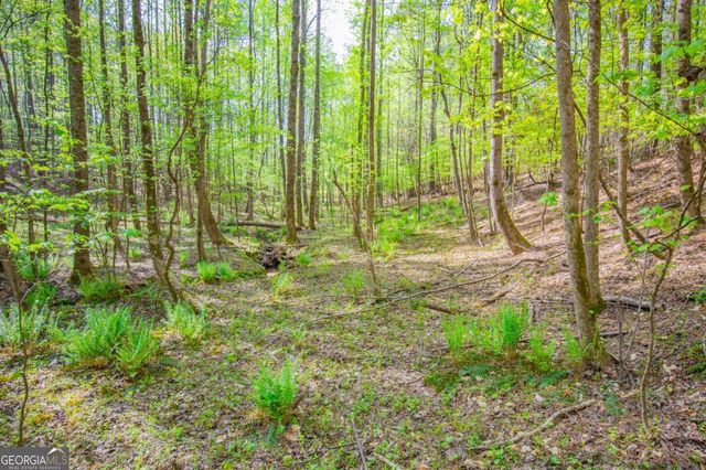 0 Lake Esther Drive LOT 2, Fairburn, GA 30213