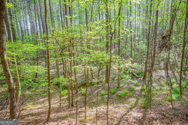 0 Lake Esther Drive LOT 2, Fairburn, GA 30213