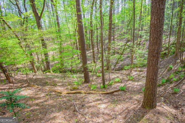 0 Lake Esther Drive LOT 2, Fairburn, GA 30213