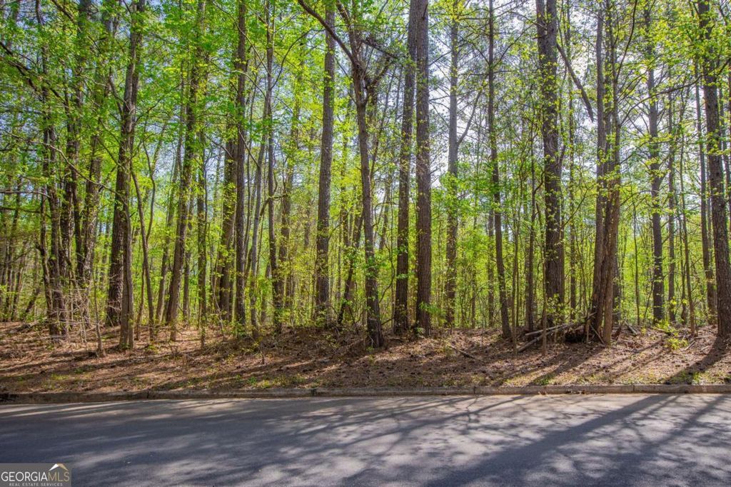 0 Lake Esther Drive LOT 2, Fairburn, GA 30213