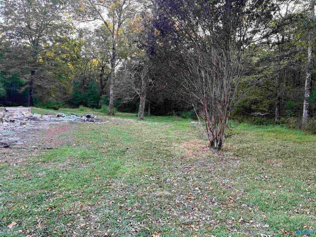 18791 Alabama Highway 35, Scottsboro, AL 35768