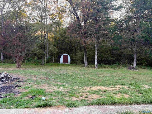 18791 Alabama Highway 35, Scottsboro, AL 35768