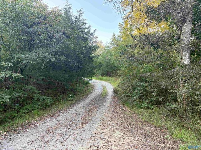 18791 Alabama Highway 35, Scottsboro, AL 35768