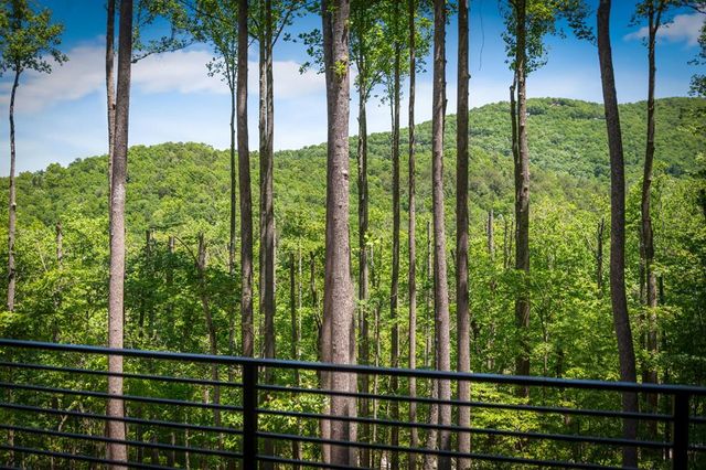 172 Grand Oaks Trail, Morganton, GA 30560
