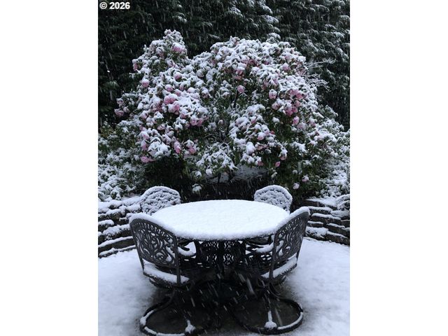 14221 DOLPH Ct, Lake Oswego, OR 97034