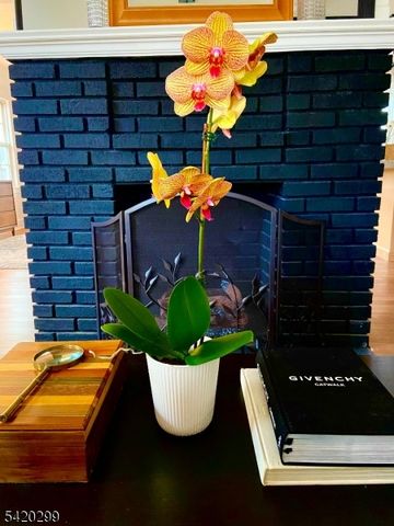 3 Laurel Pl, Glen Ridge Boro Twp., NJ 07028