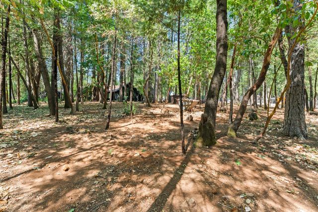 16907 Cache Lane, Brownsville, CA 95919