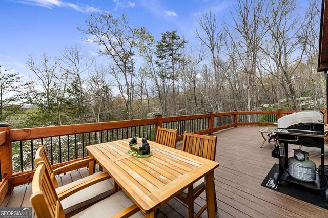 346 Logan Drive, Mineral Bluff, GA 30559