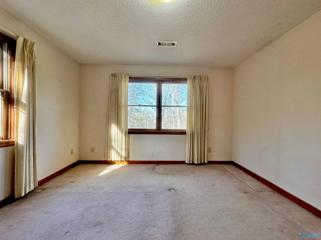 291 County Road 99, Moulton, AL 35650