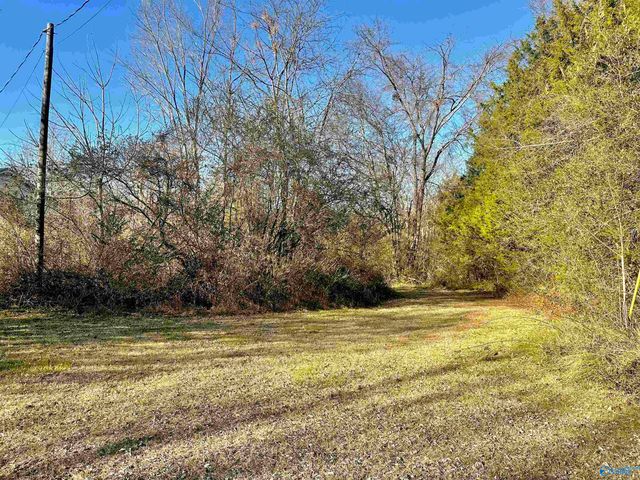 291 County Road 99, Moulton, AL 35650
