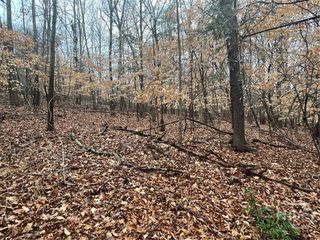 Lot 942 Birdie Court, Westminster, SC 29693