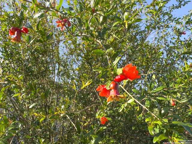 418 N Cedar, Pearsall, TX 78061