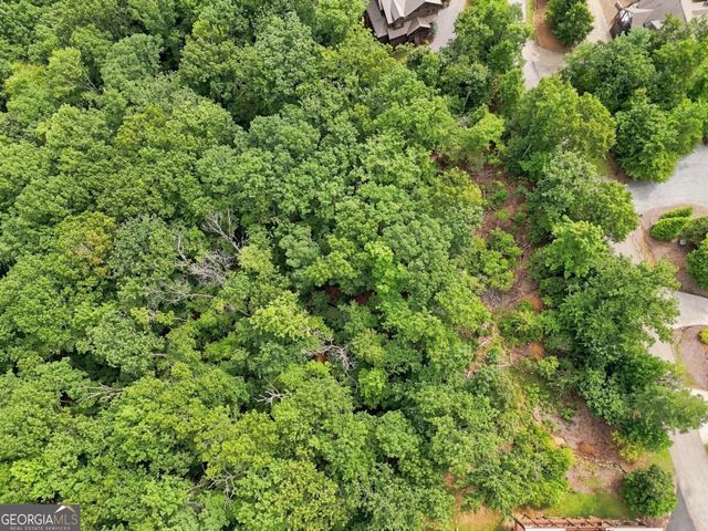 0 Deer Crest Road 22, Blue Ridge, GA 30513