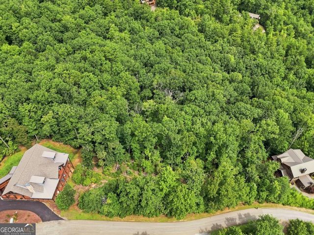 0 Deer Crest Road 22, Blue Ridge, GA 30513