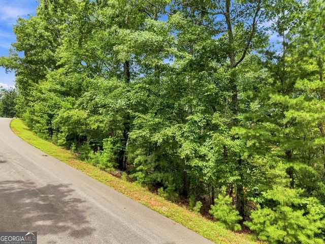 0 Deer Crest Road 22, Blue Ridge, GA 30513