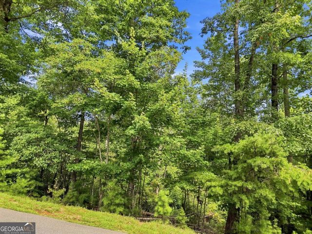 0 Deer Crest Road 22, Blue Ridge, GA 30513